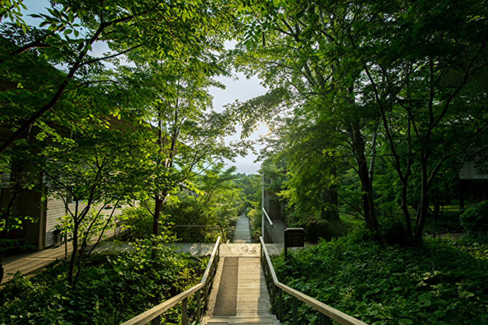 大自然・森の中のホテル・宿_箱根リトリート fore